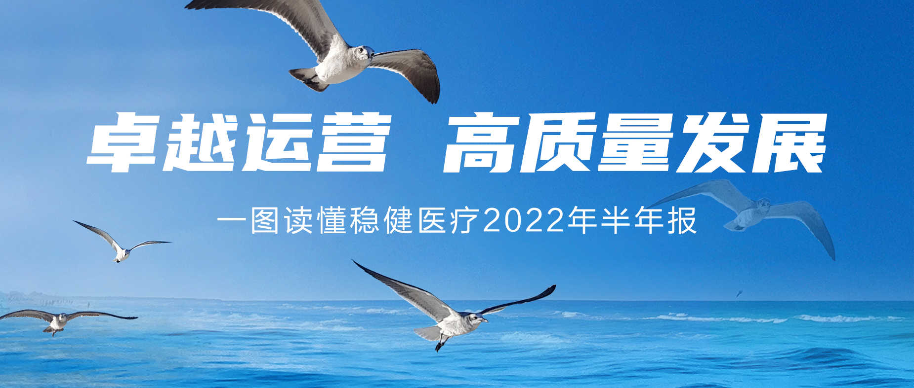 一图读懂bevictor伟德2022年半年报