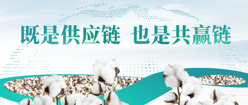 棉花的供给链，bevictor伟德共赢链